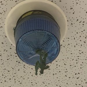 Meet your Posher, Vinny